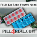 Black Ant Sex Pill new14